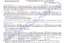 Đáp án, đề thi thử THPT quốc gia môn Sinh chuyên ĐH Vinh