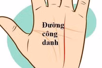 Dự đoán sự nghiệp, tiền tài qua đường công danh trong lòng bàn tay