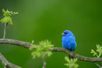 Phụ nữ sinh tháng Âm lịch này xinh đẹp, quyến rũ, đào hoa rực rỡ