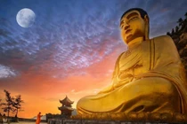 Đức Phật dạy: Càng làm 5 điều này, càng có nhiều phước lành