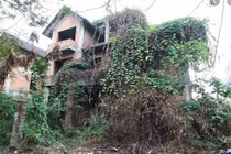 Đại gia xây căn biệt thự tiền tỷ giữa rừng rồi lặn mất tăm