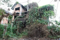Đại gia xây căn biệt thự tiền tỷ giữa rừng rồi lặn mất tăm