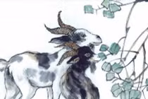 Tử vi tháng 9: 3 con giáp rung đùi hốt lộc, 3 con giáp chật vật khó khăn