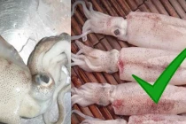 Mách chị em bí quyết khiến thịt cá "tắm" hóa chất "lộ nguyên hình"