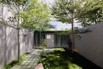 Nhà phố lọt thỏm giữa khu vườn xanh mát, xua tan mọi bí bách của đô thị