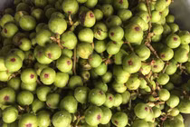 Loại quả ở quê để rụng đầy ao, lên Hà Nội muốn mua cũng khó