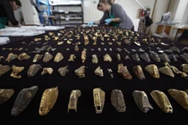 Cái kết đắng khi cùng nhau đào được kho báu vàng gần 100 tỷ đồng