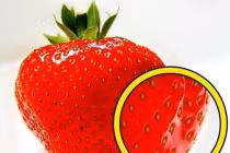 Mẹo chọn mua dâu tây ngọt mọng đúng chuẩn, không sợ chất bảo quản có hại