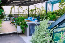 Ngắm căn hộ penhouse với khu vườn chân mây tuyệt đẹp