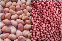 6 nhóm người nên hạn chế ăn lạc