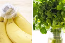 Cách bảo quản các loại rau, củ, quả cho tươi lâu