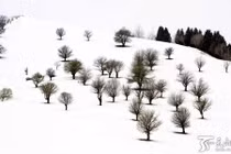 Ngỡ ngàng cảnh tuyết rơi mùa hè ở Tân Cương