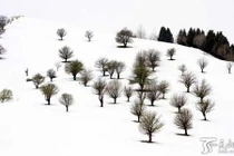 Ngỡ ngàng cảnh tuyết rơi mùa hè ở Tân Cương