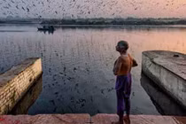 Ấn tượng ảnh đời thường trên khắp thế giới