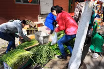 Ngỡ ngàng các chợ cóc ở Trung Quốc 