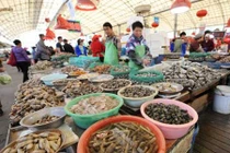 Ghé thăm chợ hải sản nổi tiếng ở Thanh Đảo 