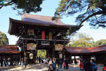 Chùm ảnh: Meiji Jingu - ngôi đền thiêng giữa thủ đô Tokyo 