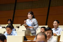 ĐBQH: Cần làm rõ định nghĩa Cơ quan quản lý giáo dục