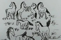 Trắc nghiệm tâm lý: Bạn có thể tìm thấy người đẹp trong 10 giây? 