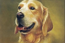 Từ giờ đến cuối năm: 3 con giáp dễ đổi đời chỉ sau một đêm