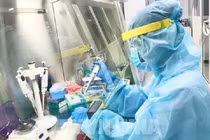 Ngày 16/6: Ca COVID-19 mới giảm còn 774, số khỏi bệnh gấp 12 lần