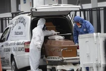 Brazil xóa sạch số liệu liên quan đại dịch COVID-19