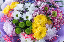 Nửa tháng tới, con giáp nào tài lộc chạm đỉnh, sự nghiệp thăng hoa?