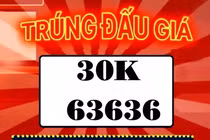Biển số ôtô 30K-636.36 có gì hay mà giá tới hơn nửa tỷ đồng?