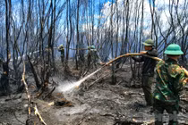 Toàn cảnh chiến đấu với "giặc lửa", khống chế cháy rừng ở Kiên Giang