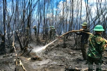 Toàn cảnh chiến đấu với "giặc lửa", khống chế cháy rừng ở Kiên Giang
