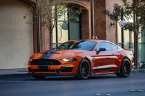 "Siêu rắn" Mustang Shelby 2020 cực ngầu trong bộ cánh 1970