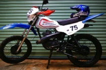 Cào cào lạ siêu rẻ của dân chơi Bình Phước