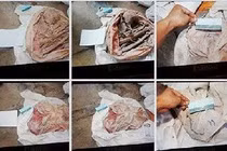 Công an thông tin vụ phát hiện 9 bộ xương người ở Tây Ninh