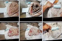 Công an thông tin vụ phát hiện 9 bộ xương người ở Tây Ninh