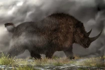 Khám phá loài tê giác cổ đại nặng gần 3 tấn, sừng dài 1,5 mét