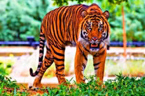 Cuối năm 2022 là thời điểm thăng hoa của 3 con giáp này