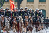 Cảnh sát cơ động kỵ binh Việt Nam có nhiệm vụ gì?