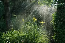 Bắc Bộ đề phòng mưa giông, lốc sét và mưa đá