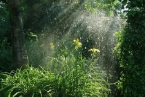 Bắc Bộ đề phòng mưa giông, lốc sét và mưa đá