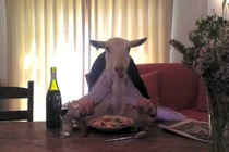 Kỳ lạ dê ăn tối bằng tay như người