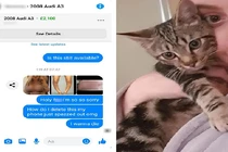 Cô gái lộ ảnh nóng qua Messenger chỉ vì một con mèo