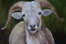 Thần Tài ban lộc, 3 con giáp vận khí hanh thông trong 45 ngày tới