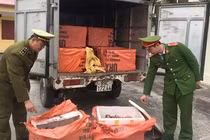 Thịt lợn bẩn tuồn về Hà Nội nhân cơn “sốt giá“