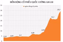 Điều gì khiến cổ phiếu công ty Cường Đôla bật tăng 9 lần?