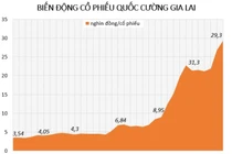 Điều gì khiến cổ phiếu công ty Cường Đôla bật tăng 9 lần?