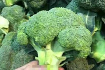 4 loại rau có hàm lượng canxi cao hơn cả sữa, mua về nấu cho trẻ ăn, xương chắc khỏe, chiều cao vượt trội