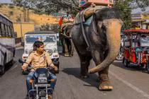 Ấn Độ đề xuất thay còi ôtô, xe máy bằng tiếng sáo và đàn