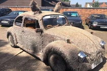 Volkswagen Beetle 1978 “lông lá” chào bán chỉ 140 triệu đồng