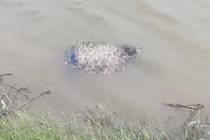 Xác 3 mẹ con buộc vào nhau: Tin nhắn cuối cùng của người mẹ