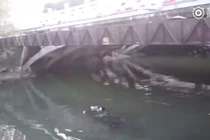 Nhảy xuống sông tự tử mà không chết nhờ điều bất ngờ này 